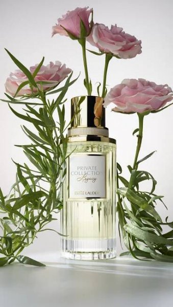 Stand out with a symphony of green notes from Legacy Collection scent Private Collection, designed by Mrs. Estée Lauder and reimagined by perfume editor, Frédéric Malle. One spray of Private Collection fills you with a bouquet of refinement, filled with sandalwood, basil and galbanum. 