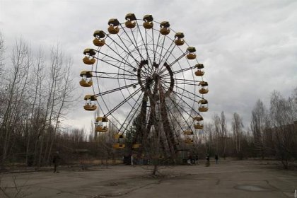 Černobylským hlodavcům radiace prospívá, zakázaný les tepe životem