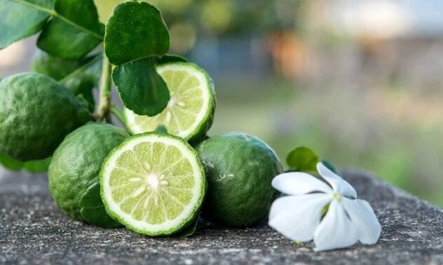 Bergamot