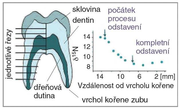 doba bronzová | Archeologie na dosah