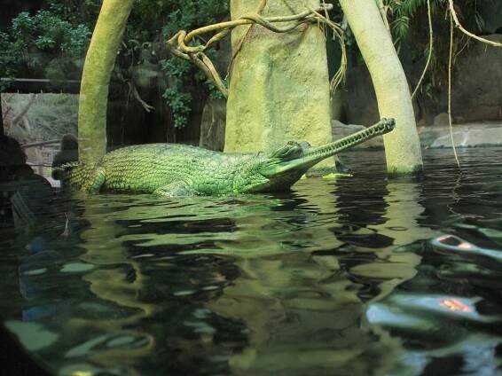 ZOO Praha - TYRKYS, škola cestovního ruchu