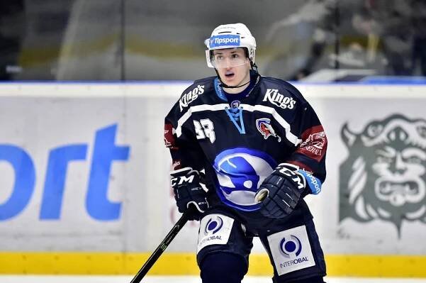 Útočníci Kodýtek, Šimon Stránský a brankář Hamrla posílili Ilves Tampere