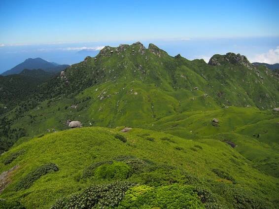Yakushima Mountain Tour Gallery - images from the Land of the Gods.
