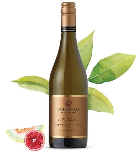Cellar Selection Sauvignon Blanc