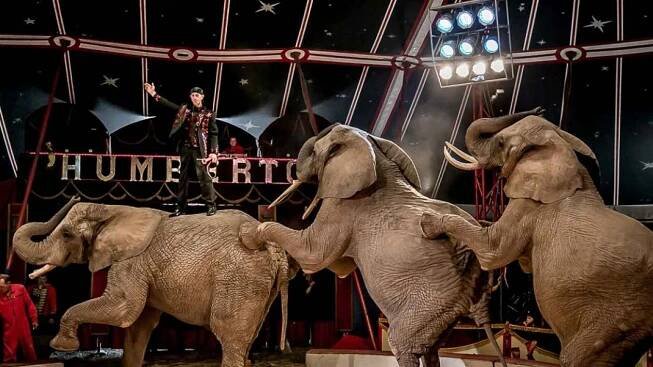 Do Českých Budějovic zavítá slavný Cirkus Humberto