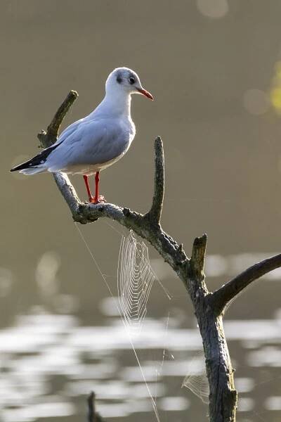 The Weekend Photo Warrior | Simon's blog of Photography and Other Stuff