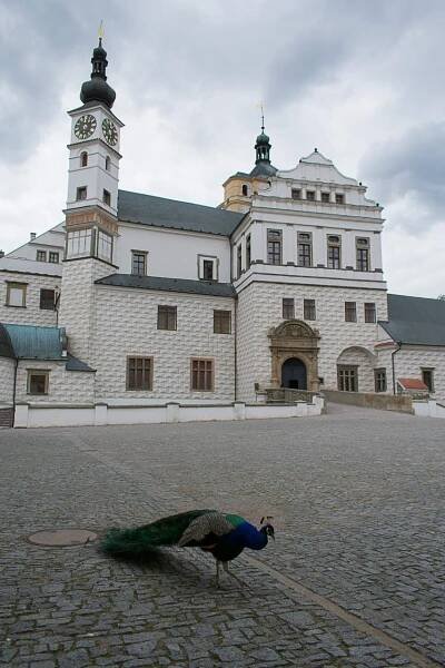 Zámek Pardubice - Východočeské muzeum Pardubice | Lokace | East Bohemia Film Office