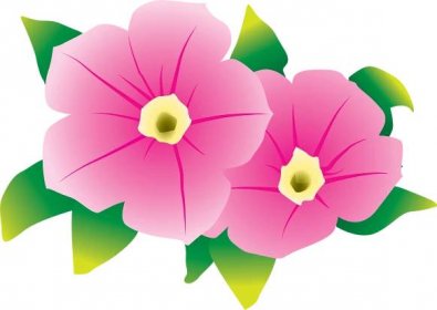 Page 3 | Petunia transparent background PNG cliparts free download ...