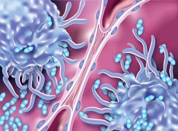 Lila Strohl, Certified Medical Illustrator |