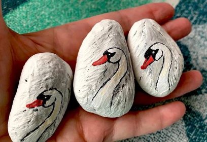 Malované kamínky - labutě (Foto: Eliška Březinová)