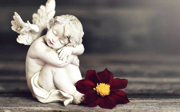 Friedhofsgärtnerei Saarbrücken Neisius Hauptfriedhof Grabpflege Grabdauerpflege Grab Trauer und Festfloristik Individuelle