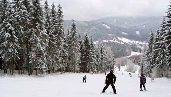 Ski areál Miroslav | Lyžování Lipová-lázně | NaVylet.cz