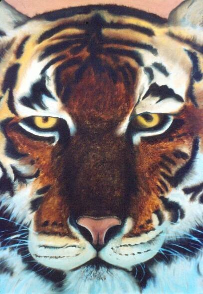 Samples of oil and acrylic easel paintings by the students of Darrell Schultz