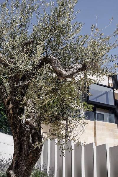 SANT PERE 19 - ESTUDI LÍNIA - Arquitectura Técnica
