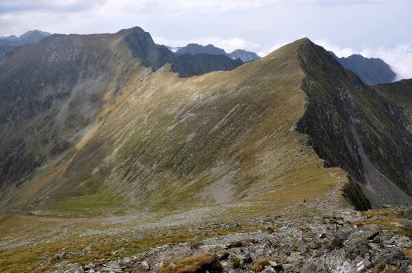 Fagaraš 2014