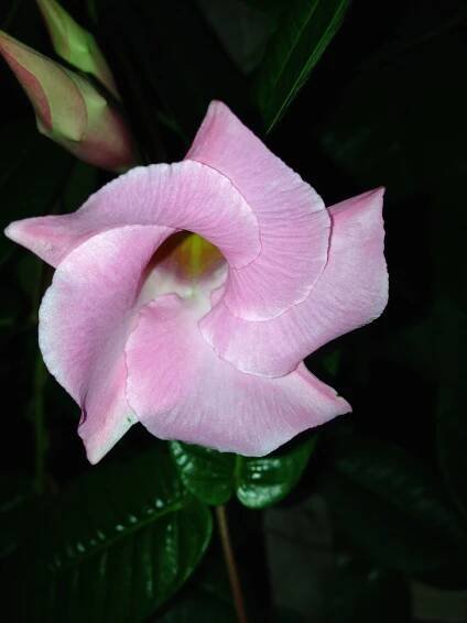 IT’S ME AGAIN, GOD – by Helen Steiner Rice