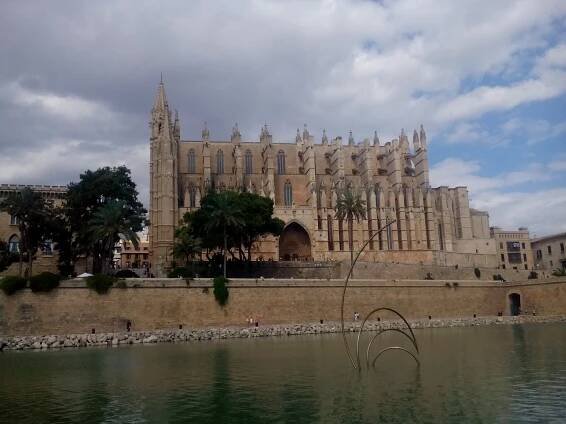 Pamiatky a zaujímavosti z Palma de Mallorca - Túlavé tenisky