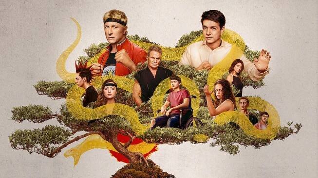 Cobra Kai (2018) seriál • Filmožrouti.cz