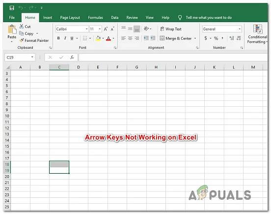 Fix: Arrow Keys not Working in Excel