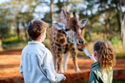 Děti krmení žirafy v Africe — Stock obrázek