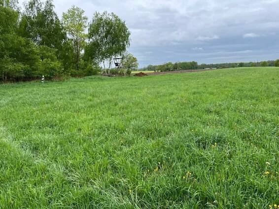 Zemědělské pozemky na prodej – Rybitví, 6,6 ha, výnos z pachtu - EVROPA realitní kancelář