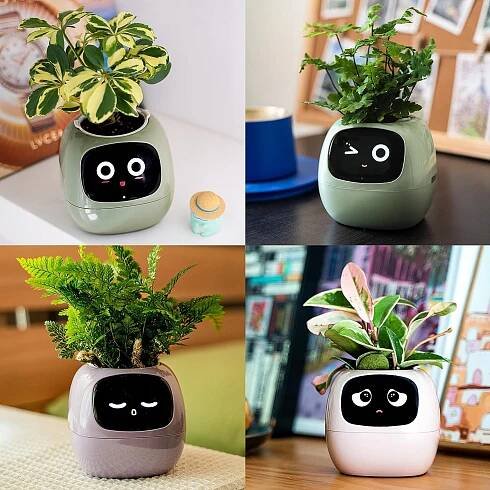 Inteligentní květináč IVY SMART PLANTER, obal na květináč PLANTSIO ZELENÝ Značka ostatní