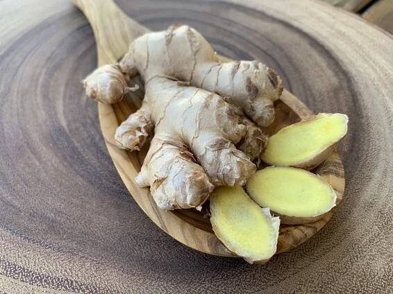 Antiviral and Immune Support Herbs — Green Path Herb School