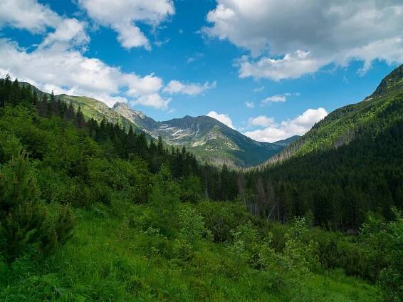 Túra: Vysoké Tatry: Záverečná na Svinici | HIKING.SK