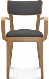 Židle s područkami B-9449/1