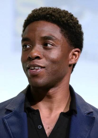 Soubor:Chadwick Boseman (28017825484) (cropped 2).jpg – Wikipedie