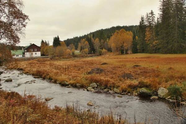 Podzimní Šumava 16. 10. 2015 - Oficiální stránky města Horní Bříza