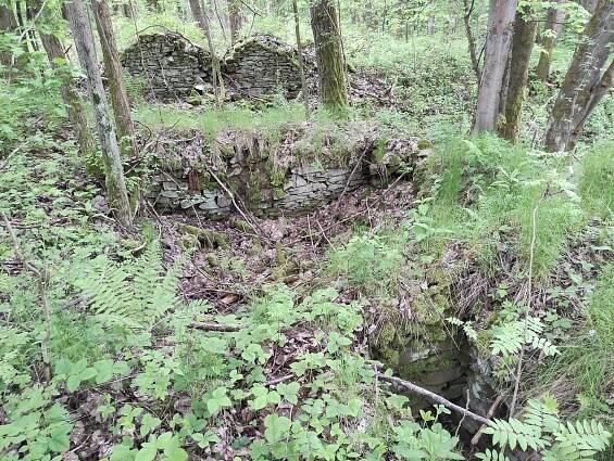 Soubor:Varhošť, vojenský újezd Libavá, Oderské vrchy 3.jpg