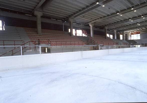 Roofing of the new Ice Palace in Milan - Riva Ingegneria