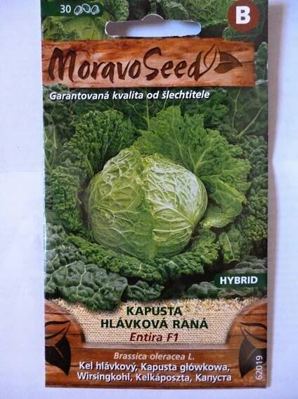 Kapusta hlávková, ran -  Entira (semena) - Zahrada