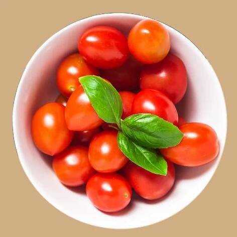 Domácí datlová rajčata odrůdy Mandat - vanička 1 kg 1
