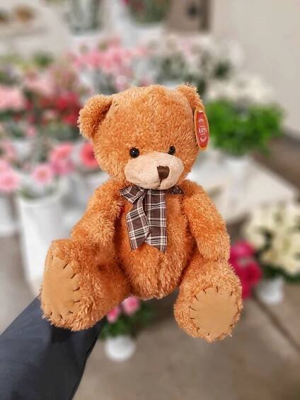 Index of /uploaded/products