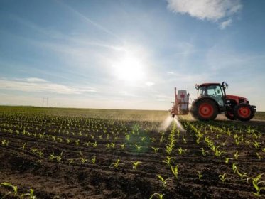 LEAK: Commission dismissive of food security fears in new pesticide study