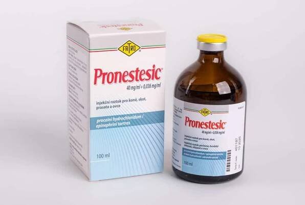 Pronestetic