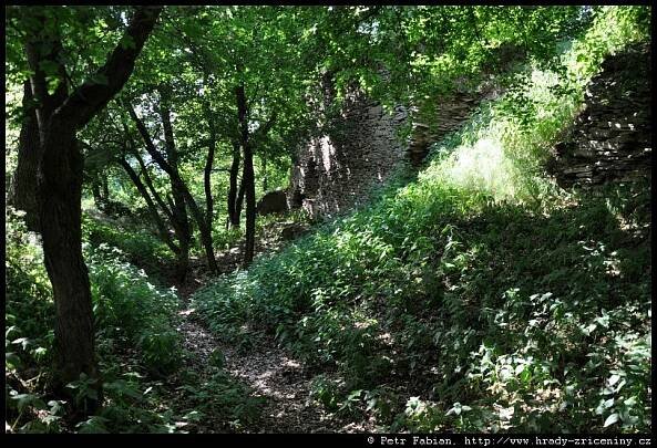 Litýš – fotografie / hrady-zriceniny.cz