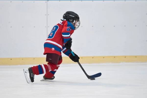 Winter Classic 10.2.2019 Praha - Hokejová škola | SKILLS HOCKEY | Tomáš Hadrava