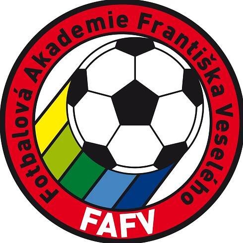 fafv.cz