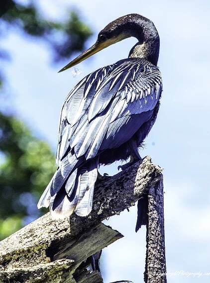 2014 Costa Rica Vacation 825-Edit.jpg