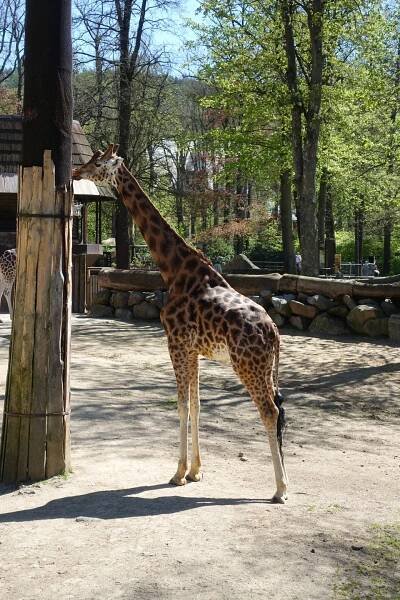 Nepojmenovaná fotka v Zoo Liberec 2023 ve PhoneCopy Gallery