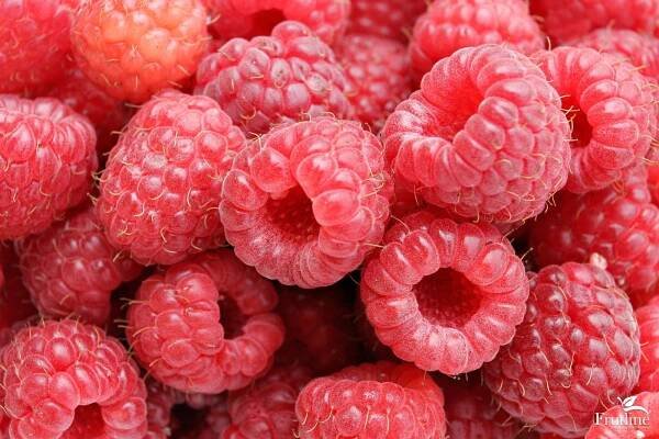 Wholesale Raspberry from Frutline