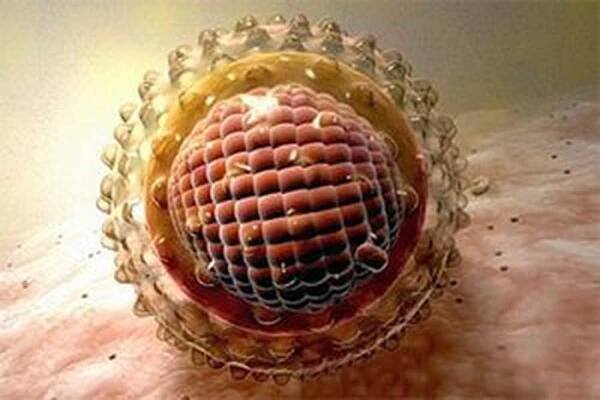 Známky, příznaky a genotypy hepatitidy C, příčiny infekce / Hepatitida | Užitečné informace a tipy na péči o sebe. Zdraví