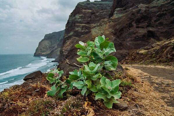Kapverdy, Santo Antao, Cabo, Verde [Mart Eslem]