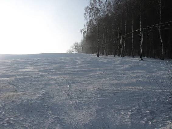 Běloves