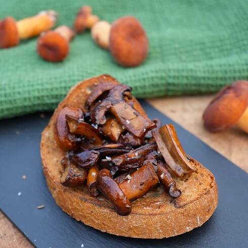 Ryzec syrovinka na sádle - Jednoduchý recept - Houbička v kuchyni