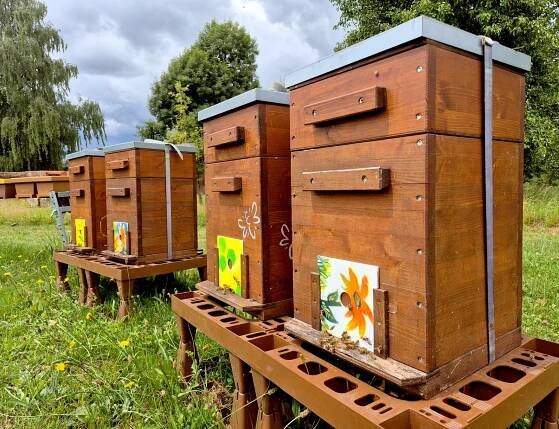 Startseite | Schweizerische Bienen-Zeitung