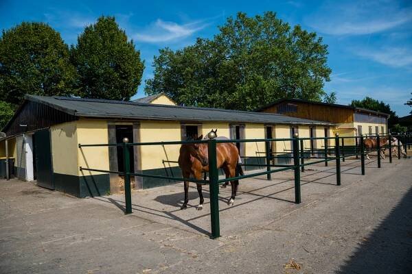 Impressionen vom Luisenhof | Reitstall Luisenhof